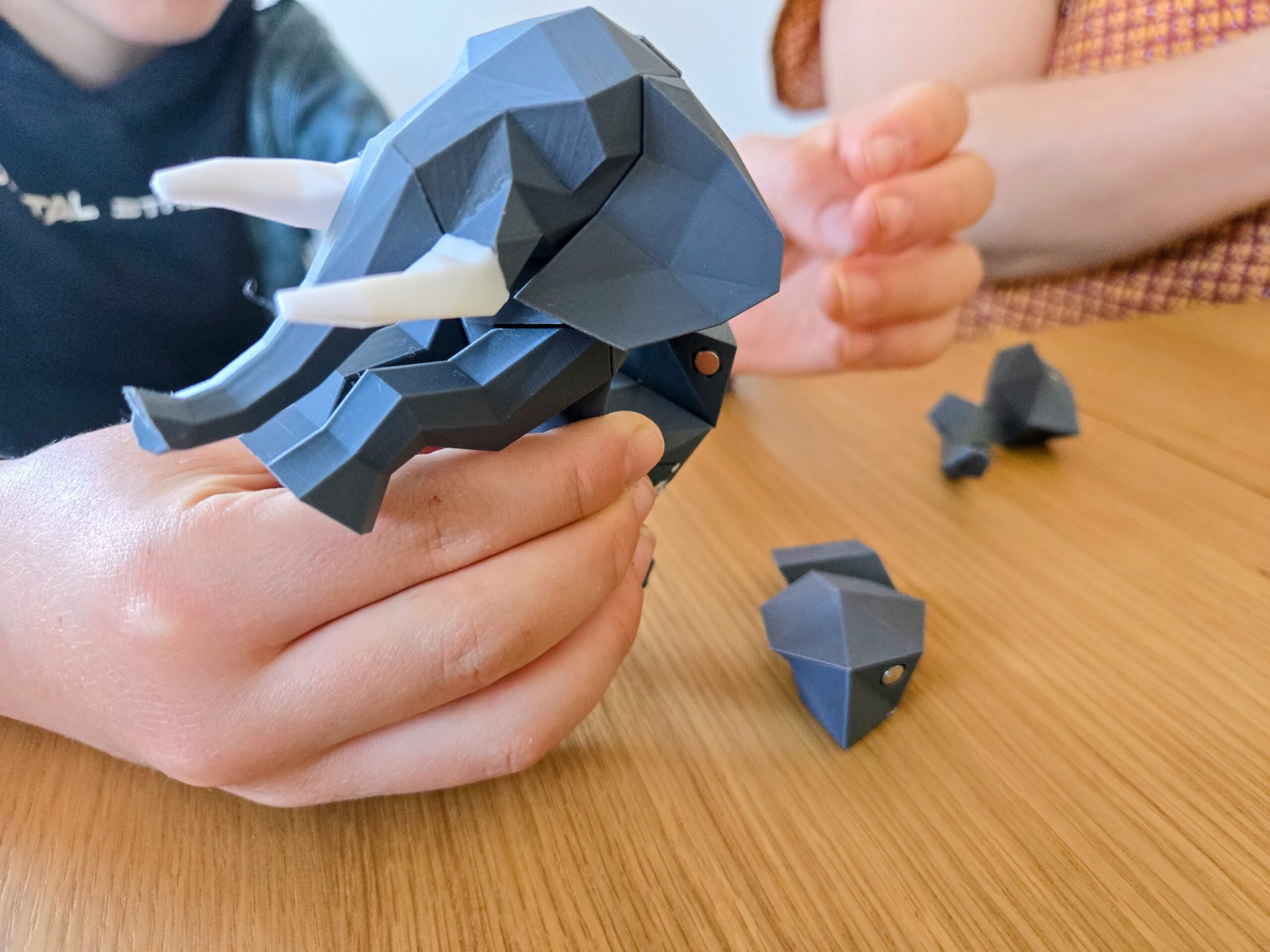 Simon, le Dragon – Image 4