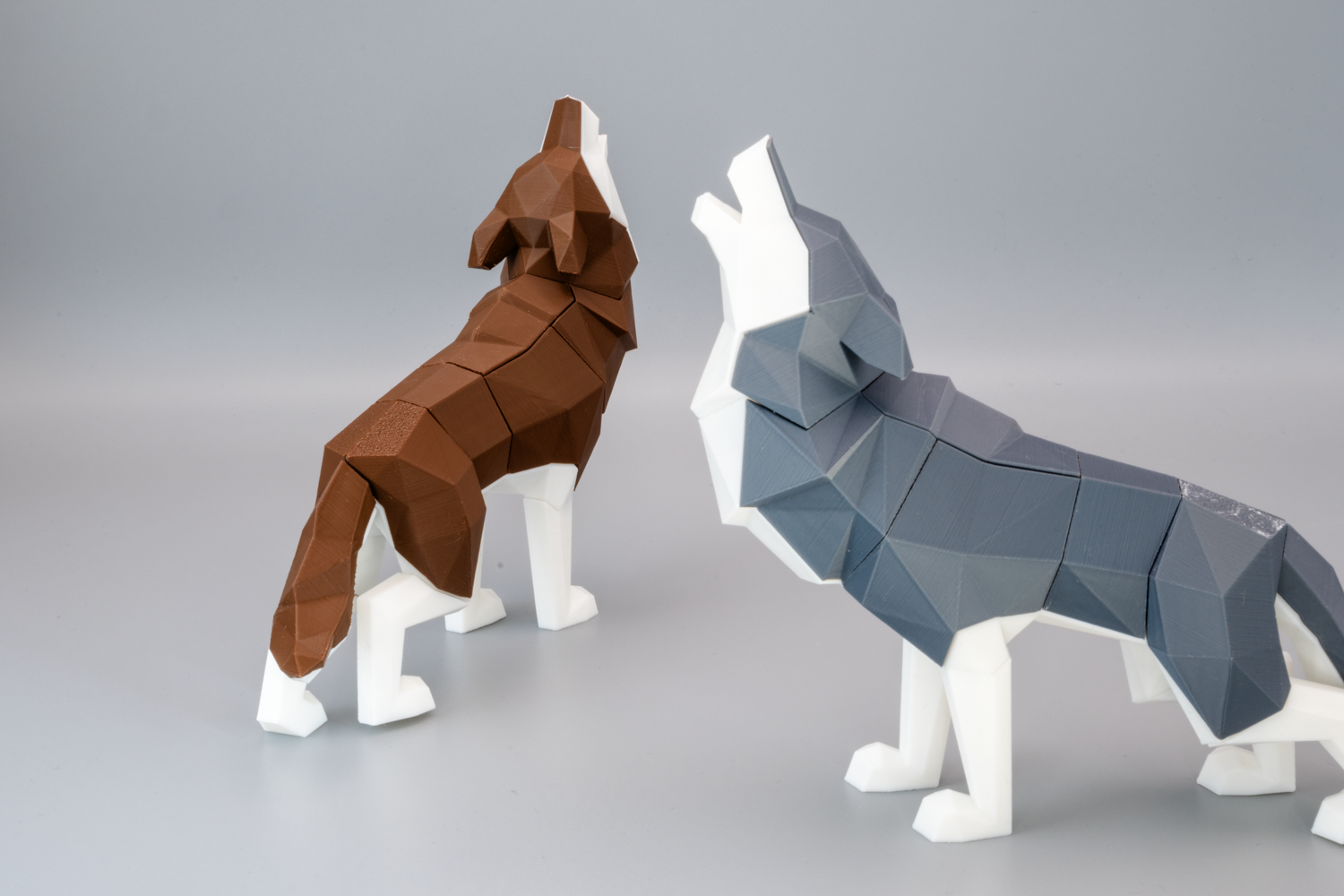 Lupa, la Louve – Image 2