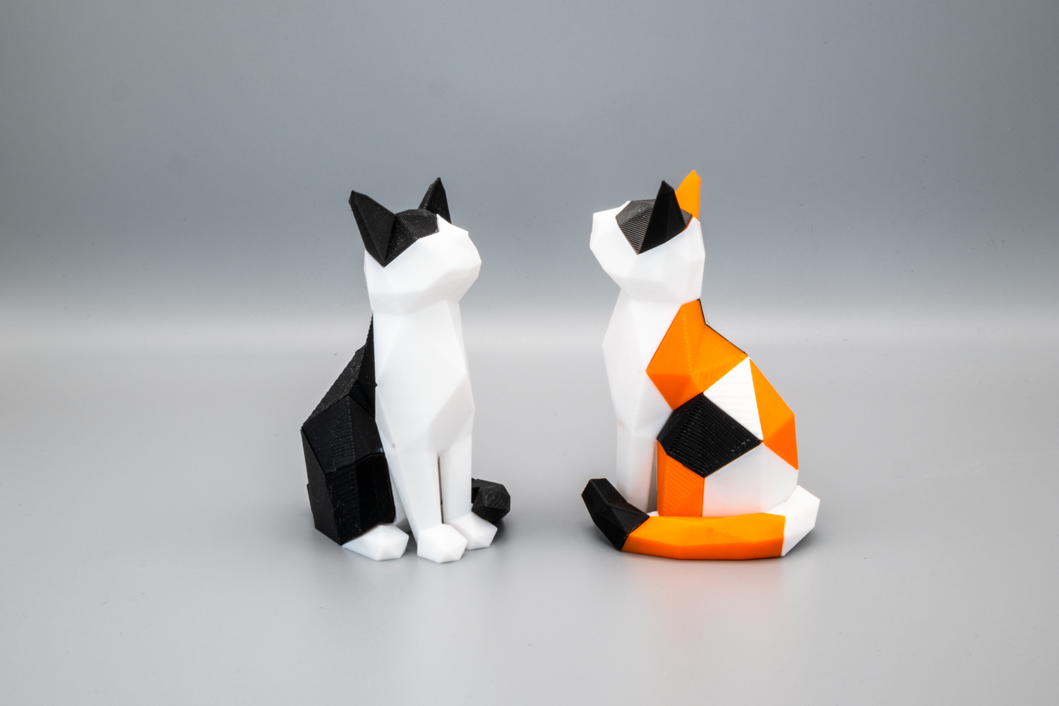 London, le Chat – Image 2