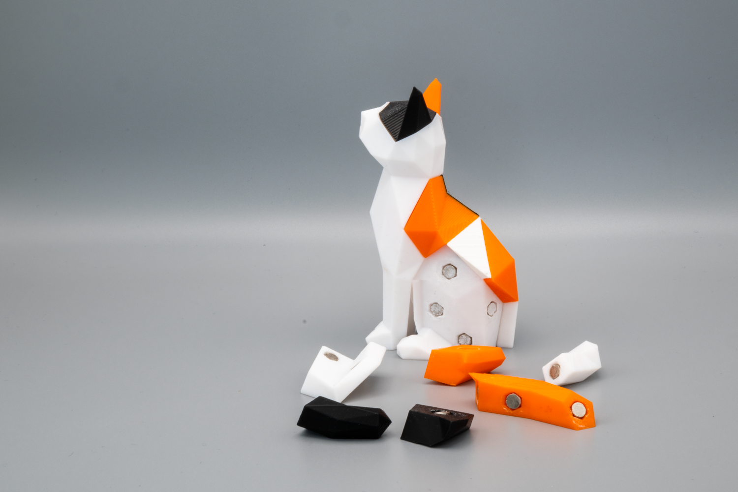 London, le Chat – Image 3