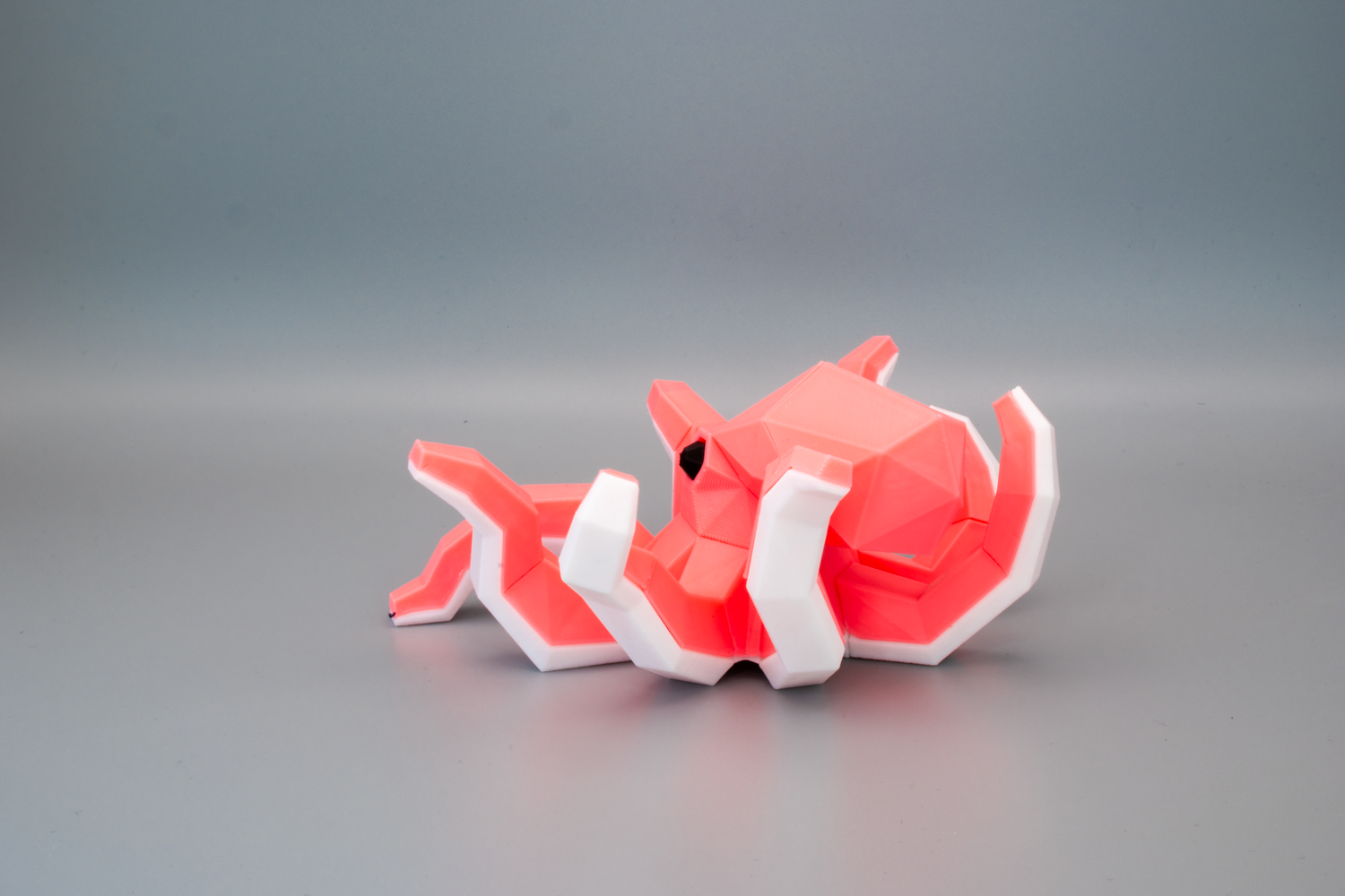 Zoé, la Pieuvre – Image 2