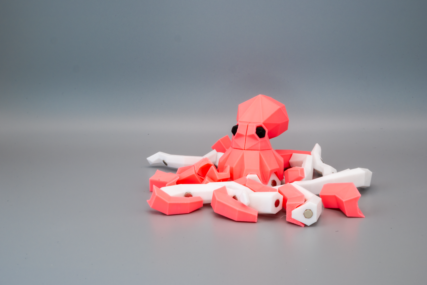 Zoé, la Pieuvre – Image 3